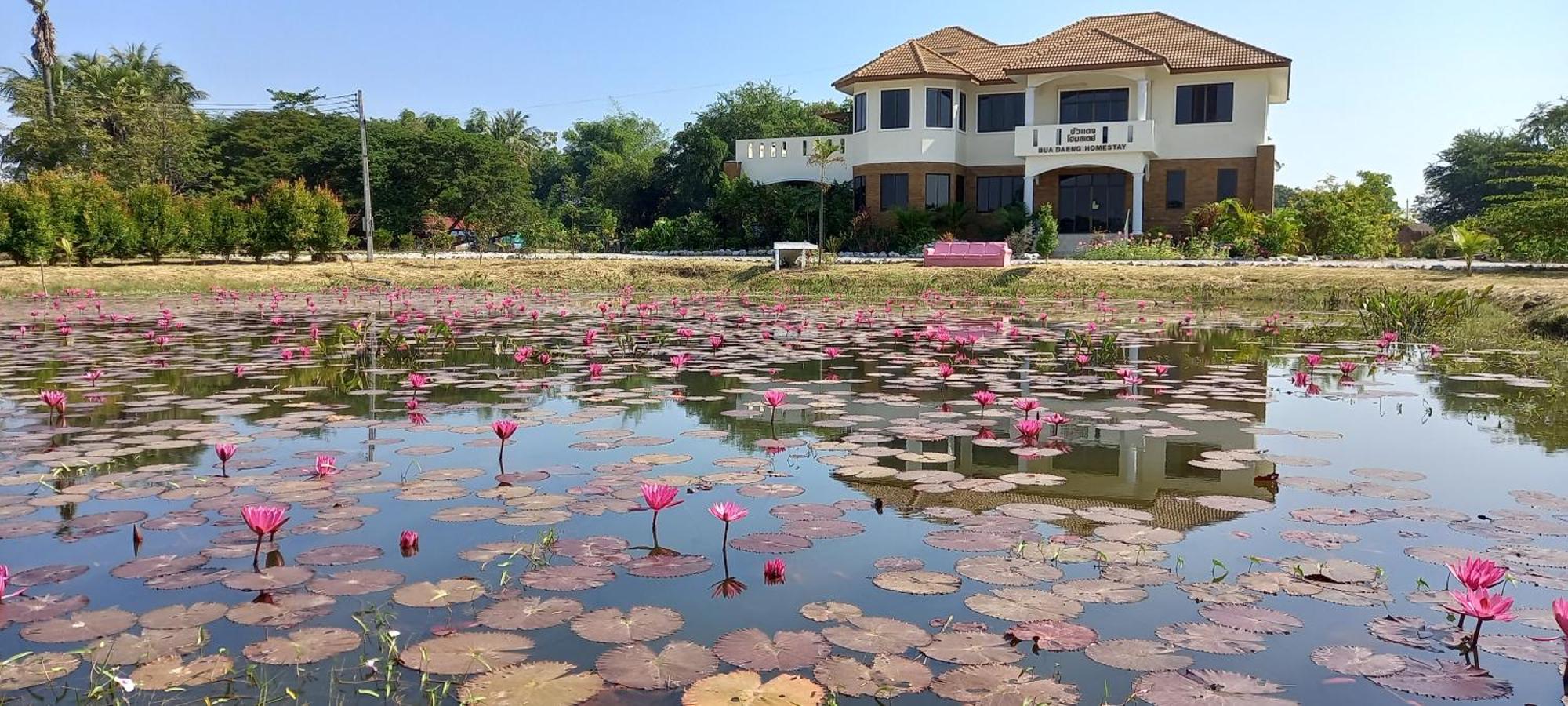 Bua Daeng Homestay Resort Kumphawapi Eksteriør billede